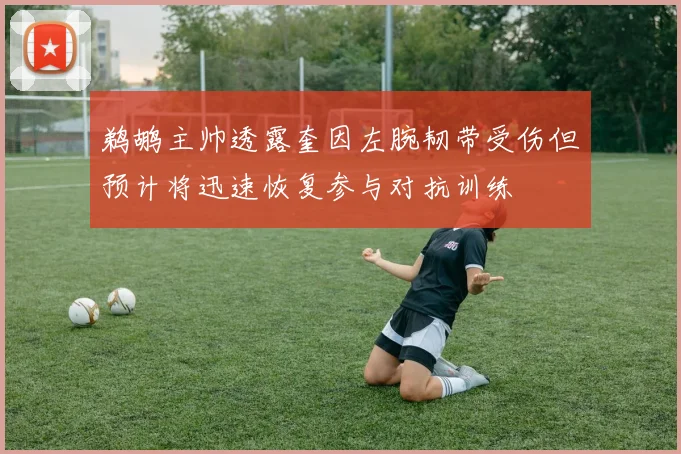 鹈鹕主帅透露奎因左腕韧带受伤但预计将迅速恢复参与对抗训练