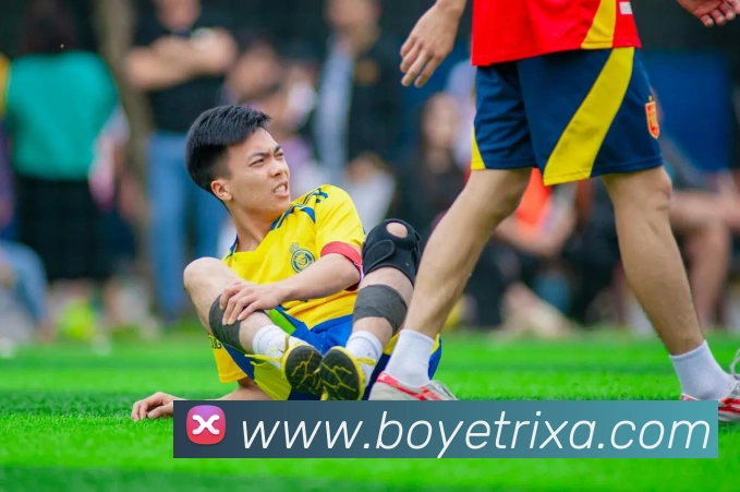 App Interface Preview